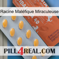 Racine Maléfique Miraculeuse 43